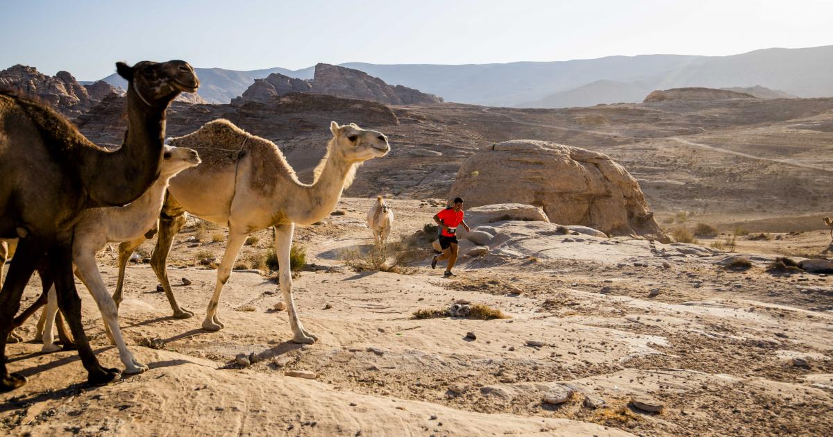 (c) Petra-desert-marathon.com